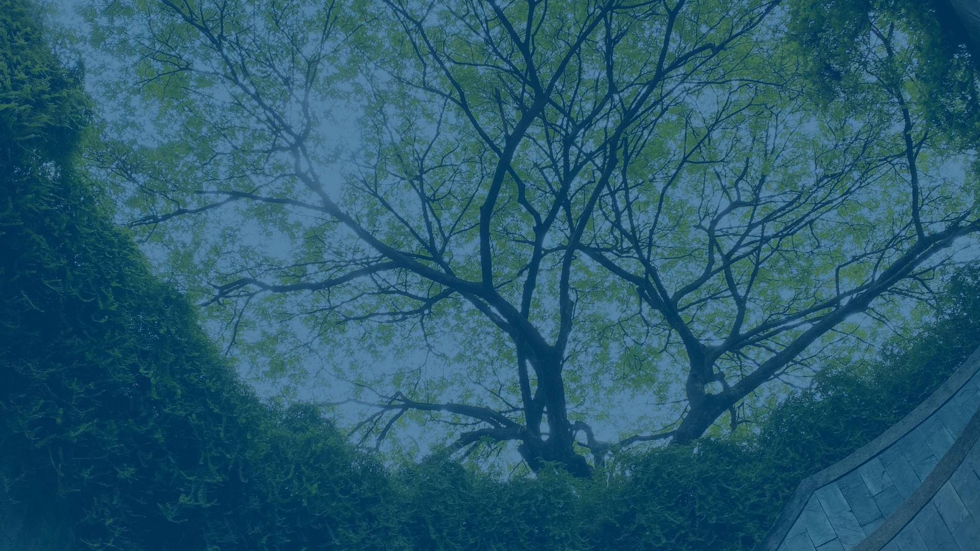 AMBIENTE E ENERGIA